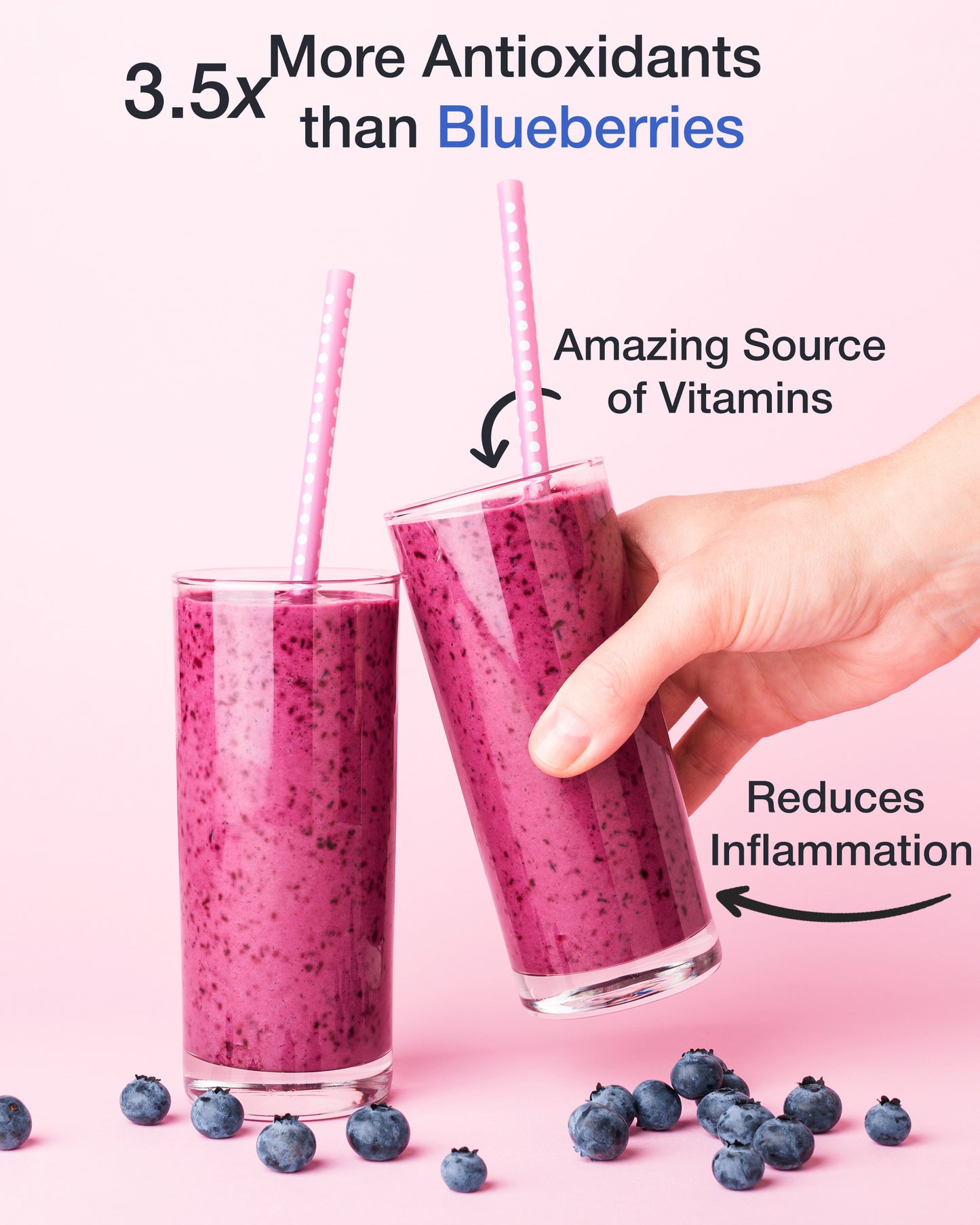 Organic Aronia Berry Powder