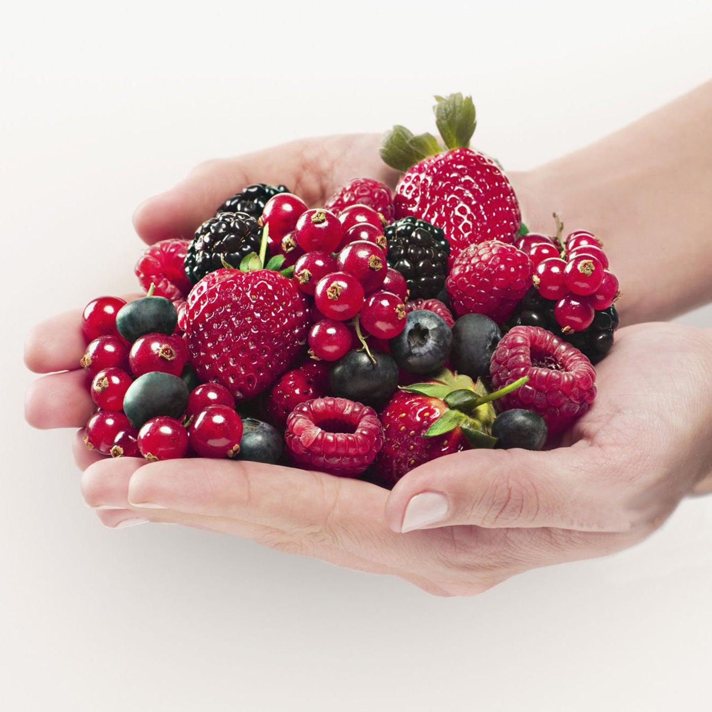The Nutritional Benefits of Berries: Why They Should be a Part of Your Diet