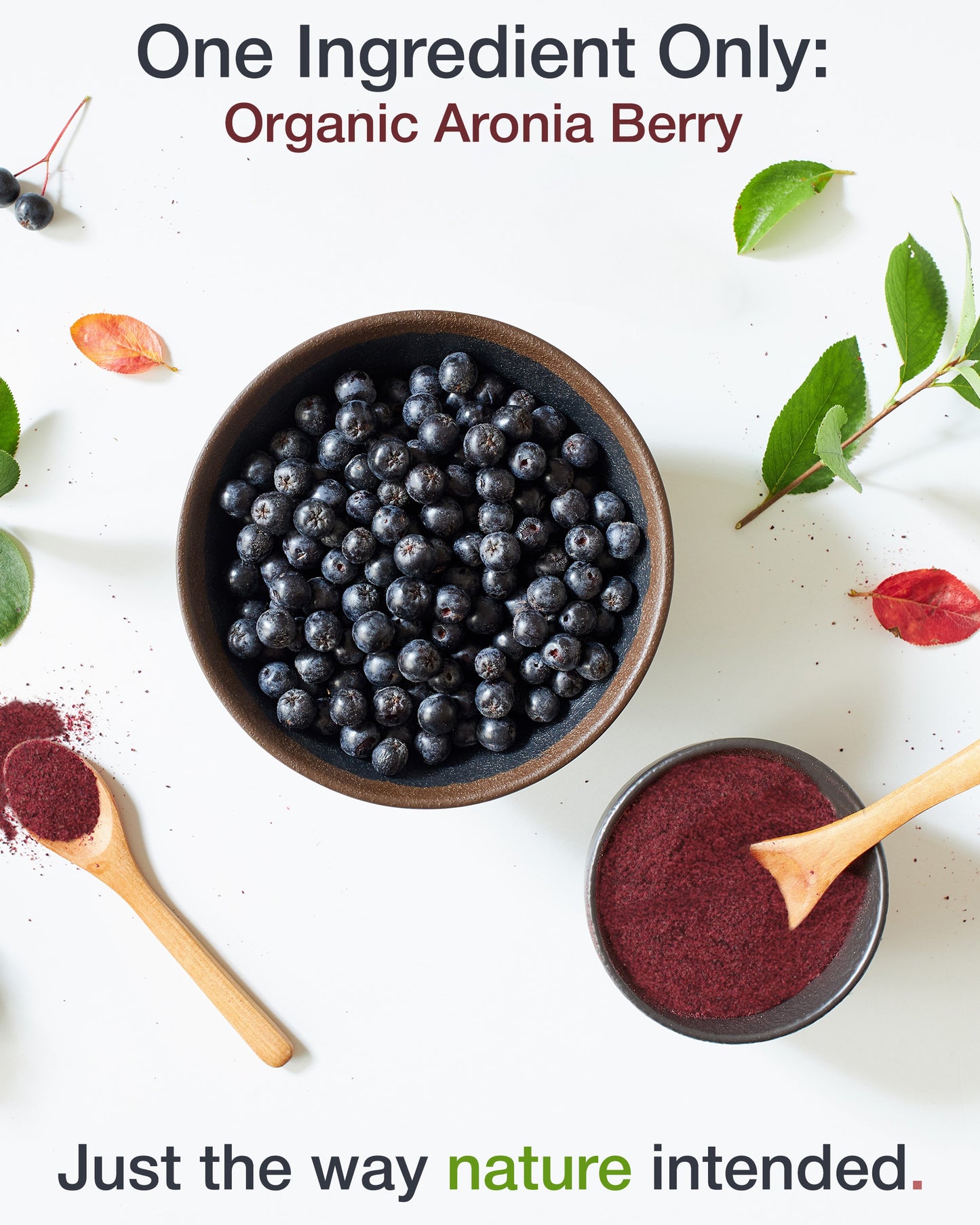 
                  
                    Organic Aronia Berry Powder
                  
                